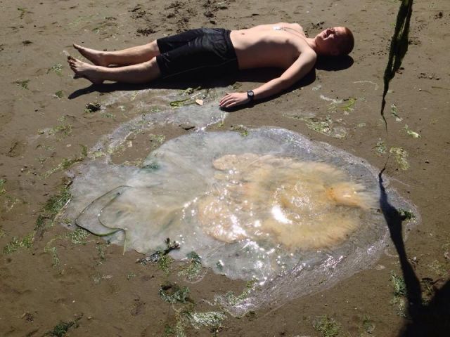 morning picdump 55 pics 7.html - 55 HD Photos | Premium Gallery 2014