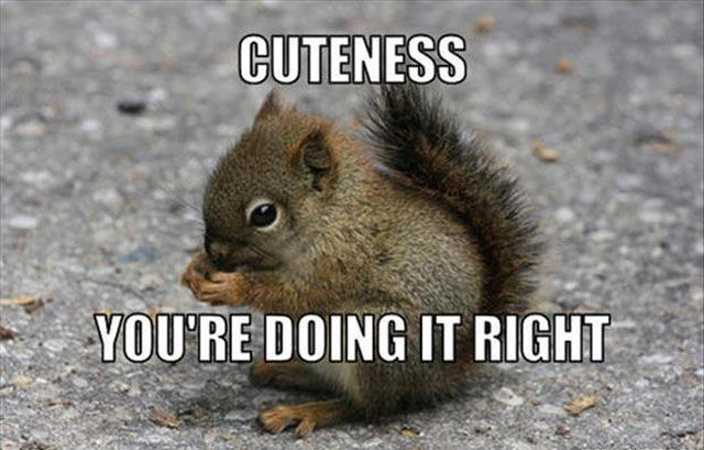 Don’t Just Do Things, Do Things Right!