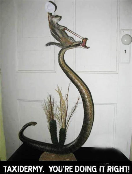 Don’t Just Do Things, Do Things Right!