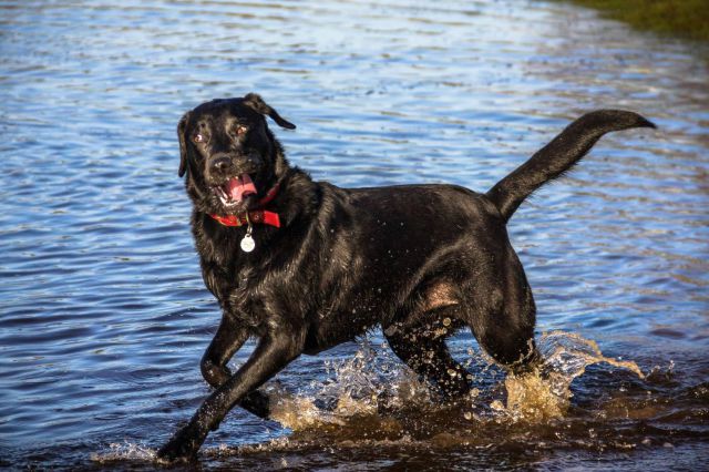 morning picdump 57 pics 11.html - 57 HD Photos | Premium Gallery 2014