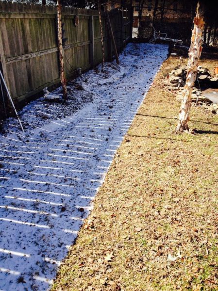 morning picdump 57 pics 11.html - 57 HD Photos | Premium Gallery 2014