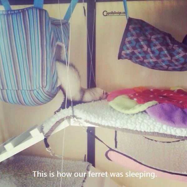 morning picdump 57 pics 11.html - 57 HD Photos | Premium Gallery 2014