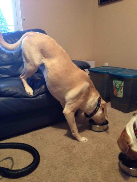 morning picdump 57 pics 11.html - 57 HD Photos | Premium Gallery 2014