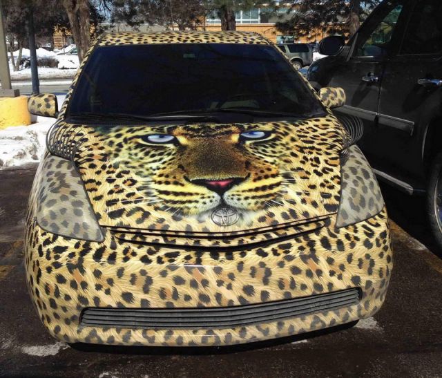 morning picdump 57 pics 11.html - 57 HD Photos | Premium Gallery 2014