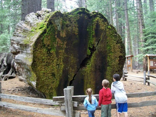 morning picdump 57 pics 11.html - 57 HD Photos | Premium Gallery 2014