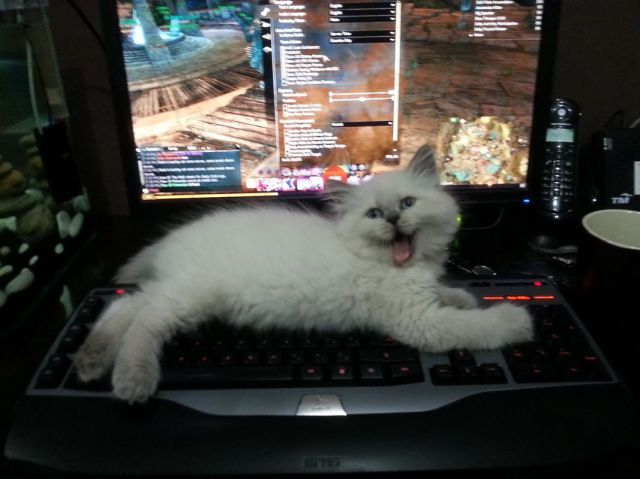 morning picdump 53 pics 21.html - 53 HD Photos | Premium Gallery 2014