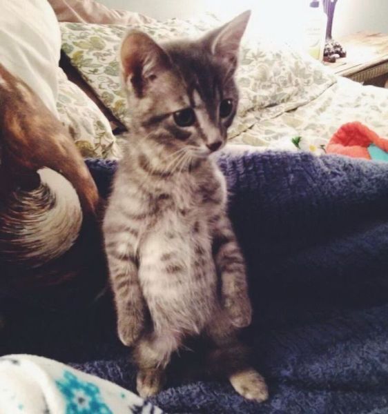 morning picdump 53 pics 21.html - 53 HD Photos | Premium Gallery 2014