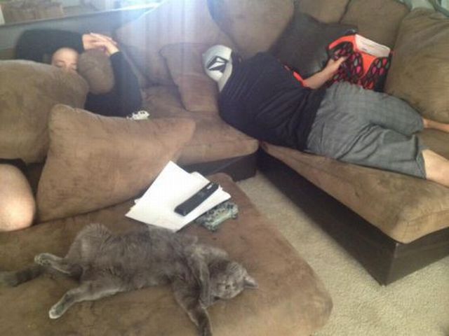 morning picdump 55 pics 2.html - 55 HD Photos | Premium Gallery 2014