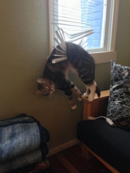 morning picdump 55 pics 2.html - 55 HD Photos | Premium Gallery 2014