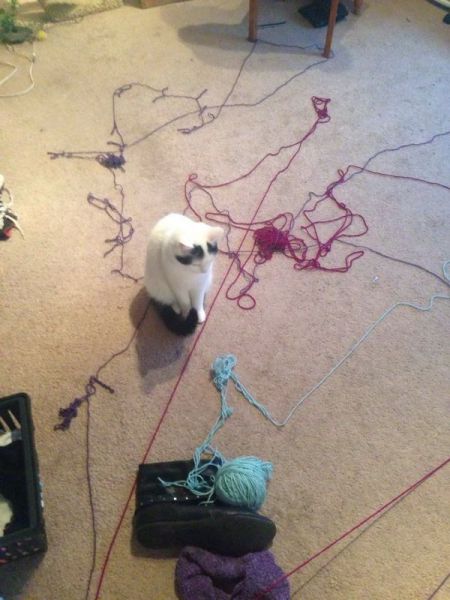 morning picdump 52 pics 1.html - 52 HD Photos | Premium Gallery 2014