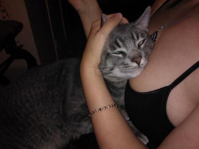 grownup corner 60 pic 4 gifs 2 videos 28.html - 60 HD Video | Premium Gallery 2014