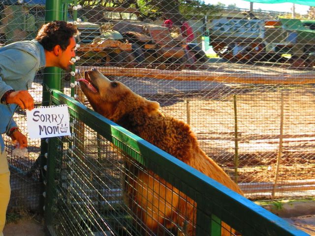 morning picdump 52 pics 7.html - 52 HD Photos | Premium Gallery 2014