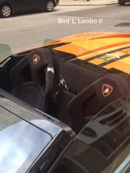 morning picdump 52 pics 7.html - 52 HD Photos | Premium Gallery 2014