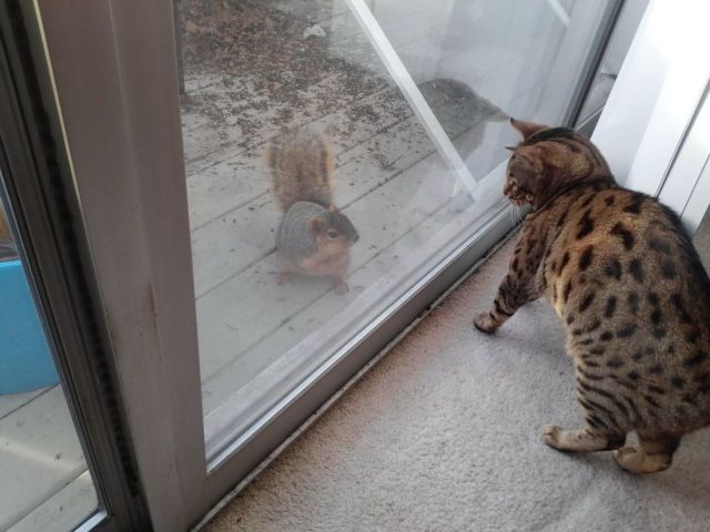 morning picdump 53 pics 1.html - 53 HD Photos | Premium Gallery 2014