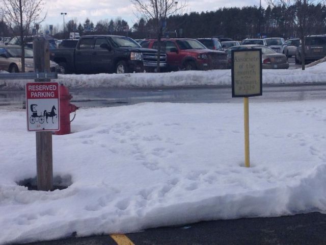 morning picdump 53 pics 1.html - 53 HD Photos | Premium Gallery 2014