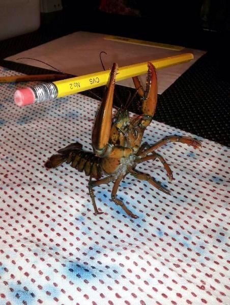 morning picdump 53 pics 1.html - 53 HD Photos | Premium Gallery 2014