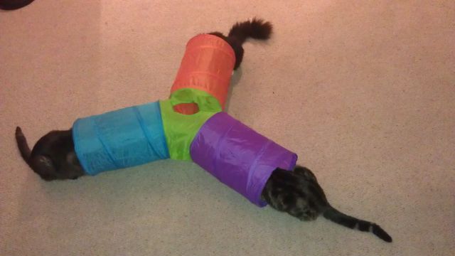 morning picdump 53 pics 1.html - 53 HD Photos | Premium Gallery 2014