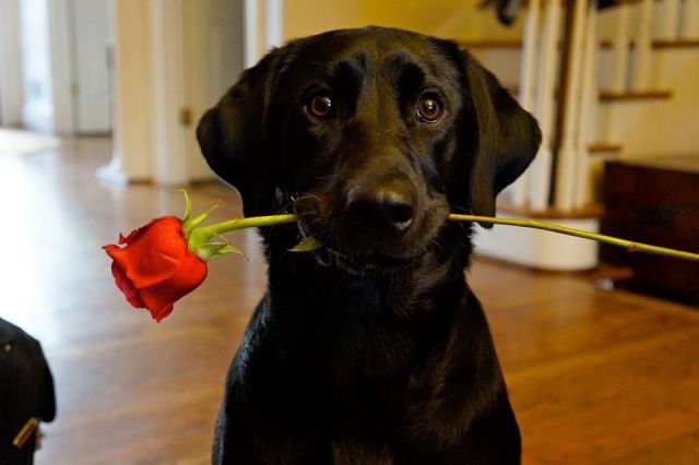 morning picdump 53 pics 1.html - 53 HD Photos | Premium Gallery 2014