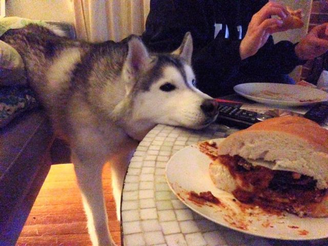 morning picdump 53 pics 1.html - 53 HD Photos | Premium Gallery 2014