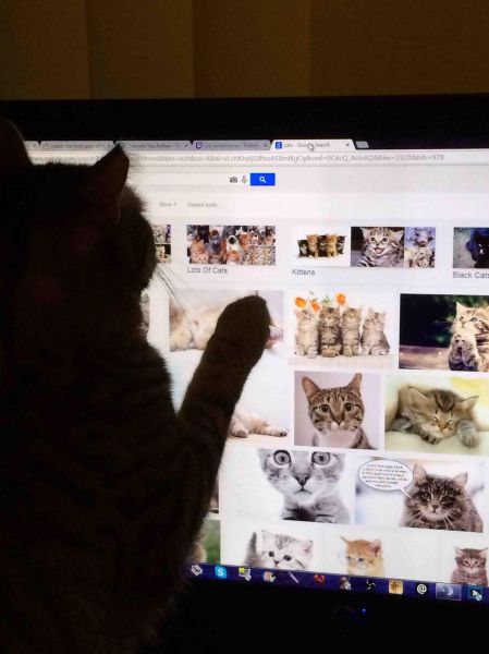 morning picdump 53 pics 1.html - 53 HD Photos | Premium Gallery 2014