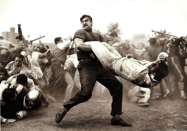 morning picdump 53 pics 1.html - 53 HD Photos | Premium Gallery 2014