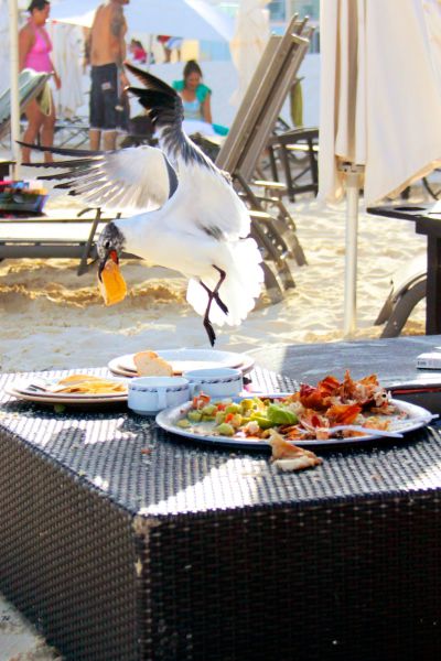 morning picdump 53 pics 1.html - 53 HD Photos | Premium Gallery 2014