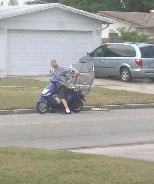 Daily Picdump