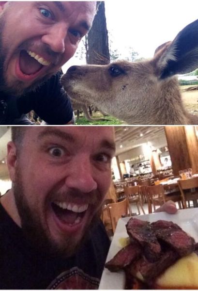 Daily Picdump