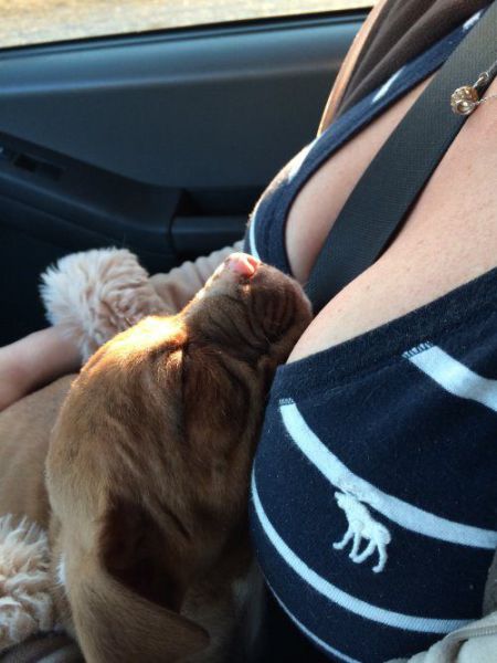 daily picdump 96 pics 15.html - 96 HD Photos | Premium Gallery 2014