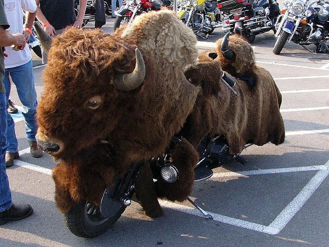 daily picdump 96 pics 15.html - 96 HD Photos | Premium Gallery 2014