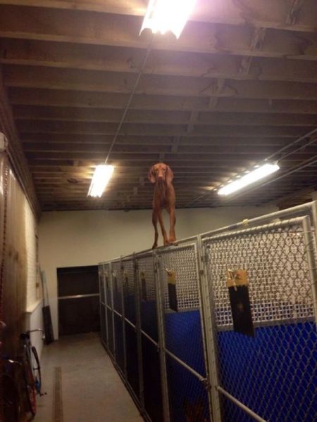 daily picdump 96 pics 15.html - 96 HD Photos | Premium Gallery 2014