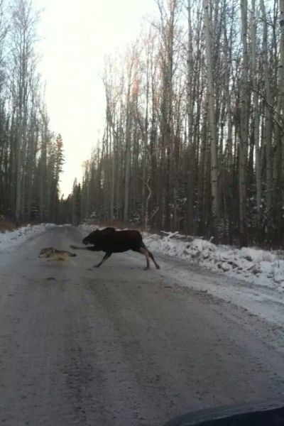 daily picdump 96 pics 15.html - 96 HD Photos | Premium Gallery 2014
