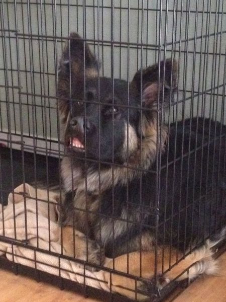 daily picdump 96 pics 15.html - 96 HD Photos | Premium Gallery 2014