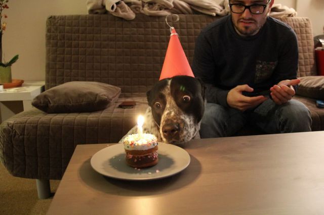 daily picdump 96 pics 15.html - 96 HD Photos | Premium Gallery 2014
