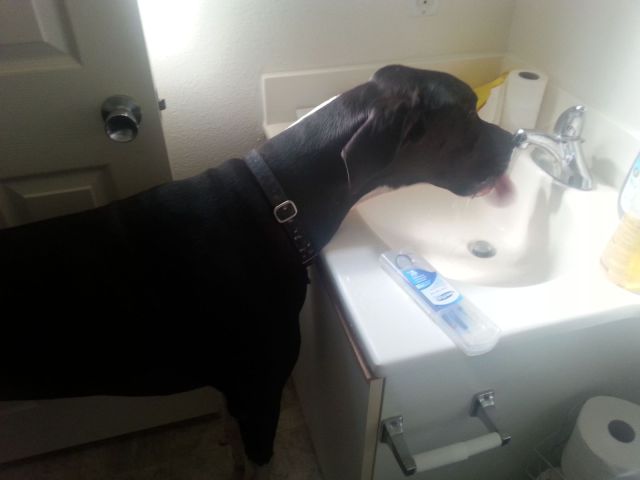daily picdump 96 pics 15.html - 96 HD Photos | Premium Gallery 2014