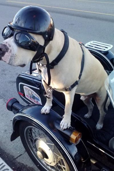 daily picdump 96 pics 15.html - 96 HD Photos | Premium Gallery 2014