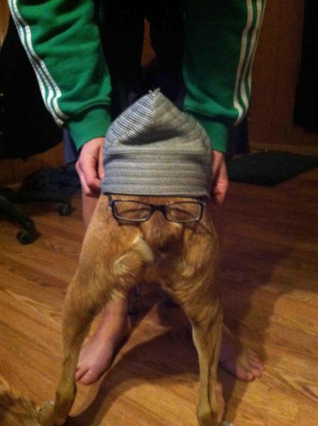 daily picdump 96 pics 15.html - 96 HD Photos | Premium Gallery 2014