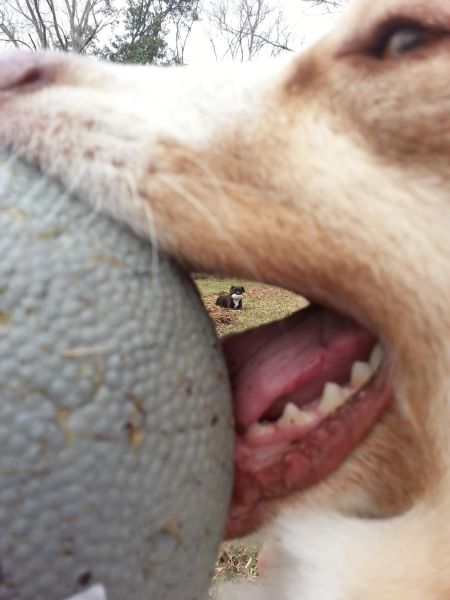 daily picdump 96 pics 15.html - 96 HD Photos | Premium Gallery 2014