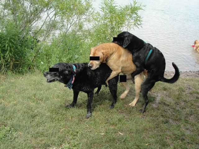morning picdump 54 pics 1.html - 54 HD Photos | Premium Gallery 2014