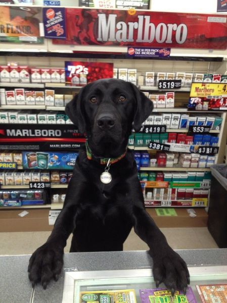 morning picdump 54 pics 1.html - 54 HD Photos | Premium Gallery 2014