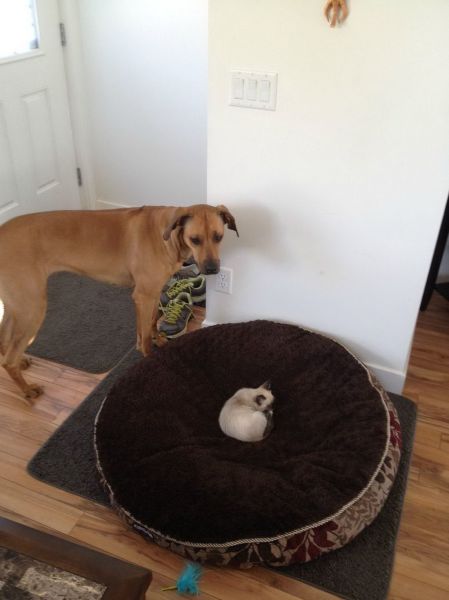 morning picdump 54 pics 1.html - 54 HD Photos | Premium Gallery 2014