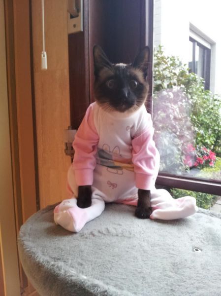 morning picdump 54 pics 1.html - 54 HD Photos | Premium Gallery 2014