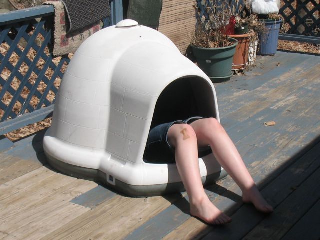 morning picdump 54 pics 1.html - 54 HD Photos | Premium Gallery 2014