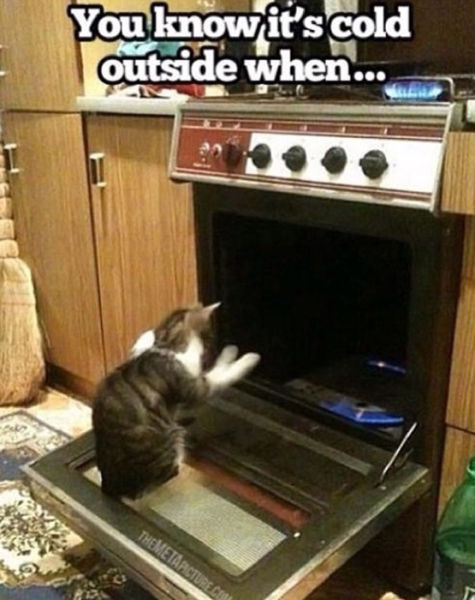 funny picdump 53 pics 12.html - 53 HD Photos | Premium Gallery 2014