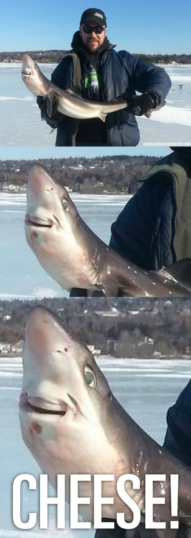 funny picdump 53 pics 12.html - 53 HD Photos | Premium Gallery 2014