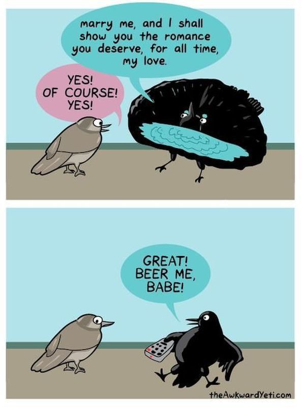 funny picdump 53 pics 12.html - 53 HD Photos | Premium Gallery 2014