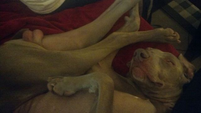 morning picdump 51 pics 8.html - 51 HD Photos | Premium Gallery 2014