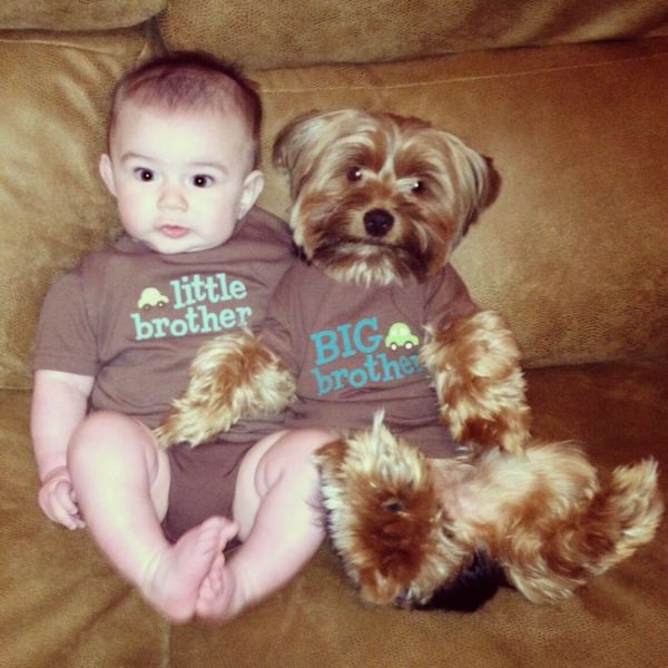 morning picdump 50 pics 3.html - 50 HD Photos | Premium Gallery 2014