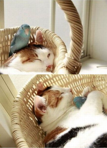 morning picdump 50 pics 3.html - 50 HD Photos | Premium Gallery 2014