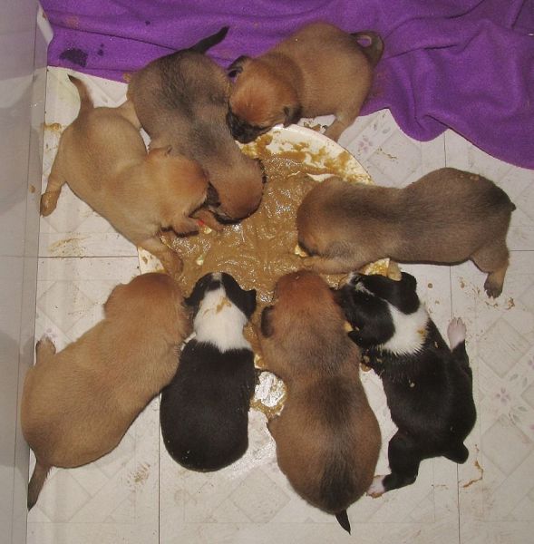 morning picdump 51 pics 12.html - 51 HD Photos | Premium Gallery 2014